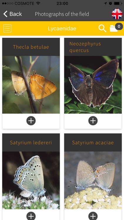 Butterflies of Greece