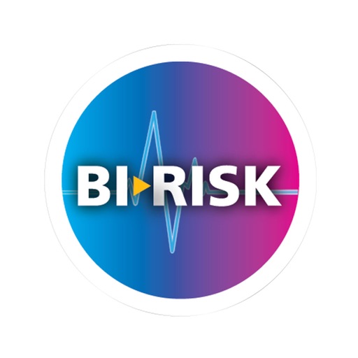 BIRISK