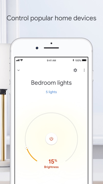 Google Home screenshot-3