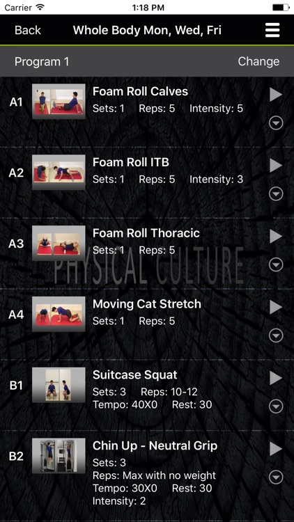 PHYSICAL CULTURE FITNESS