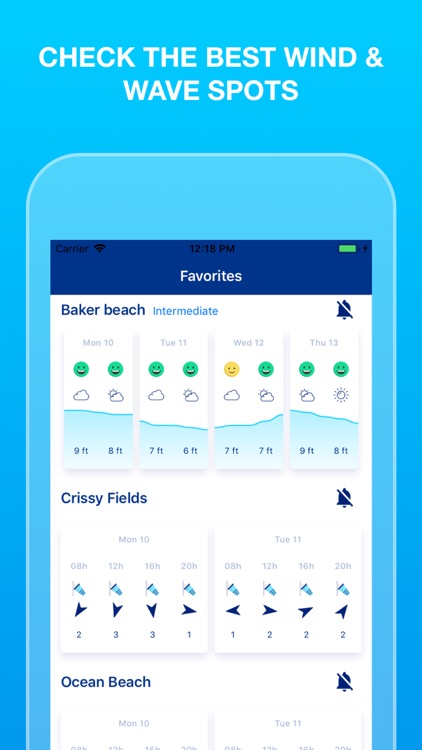 Weesurf, wave & wind forecast screenshot-0