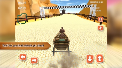 Animal Go Kart Racing Pro screenshot 2