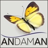 Andaman - Thai Massage Köln