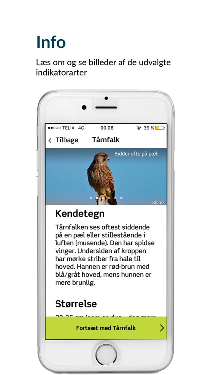 NaturTjek