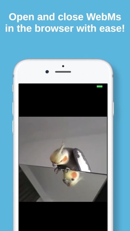 Frost WebM Player Browser