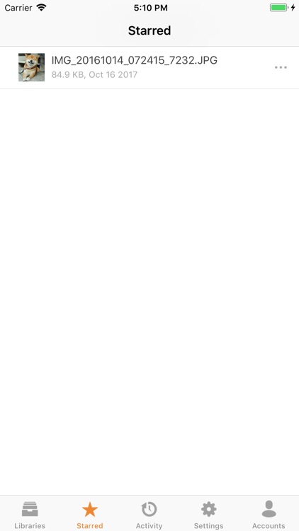 SkyFile screenshot-3