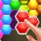 hexagon block puzzle is a block puzzle game