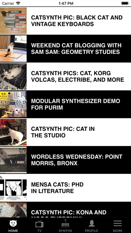 CatSynth: The App!