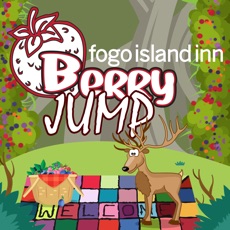 Activities of Fogo Island Inn - Berry Jump