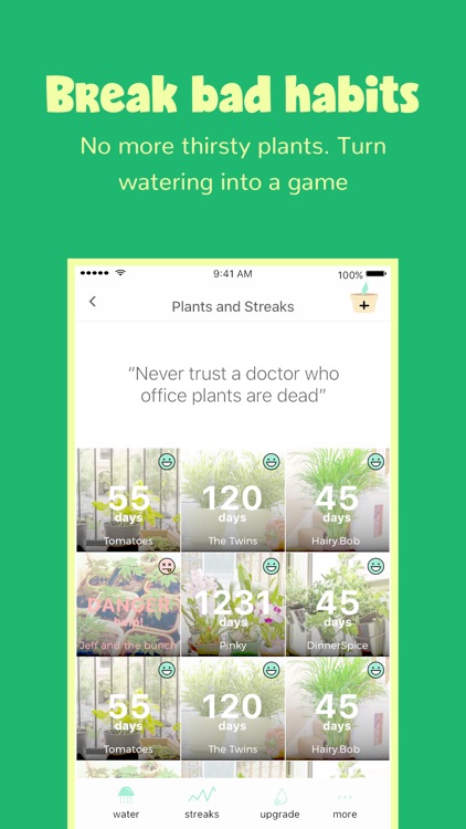 Happy Plant - No Water Thirst