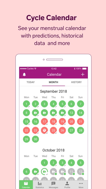 Natural Cycles - Birth Control screenshot-3