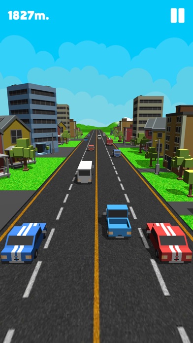 Double Traffic Race screenshot 3