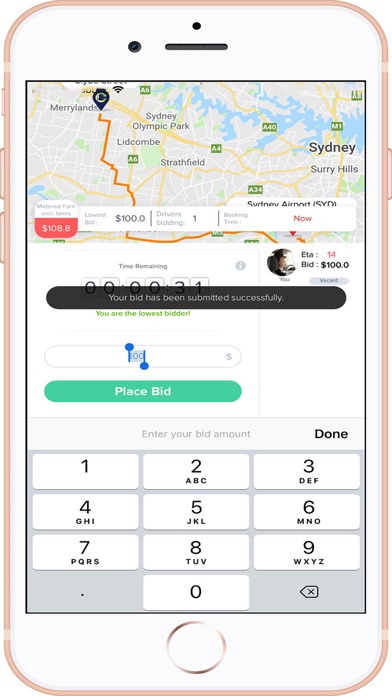 CABIDZ DRIVER screenshot 4