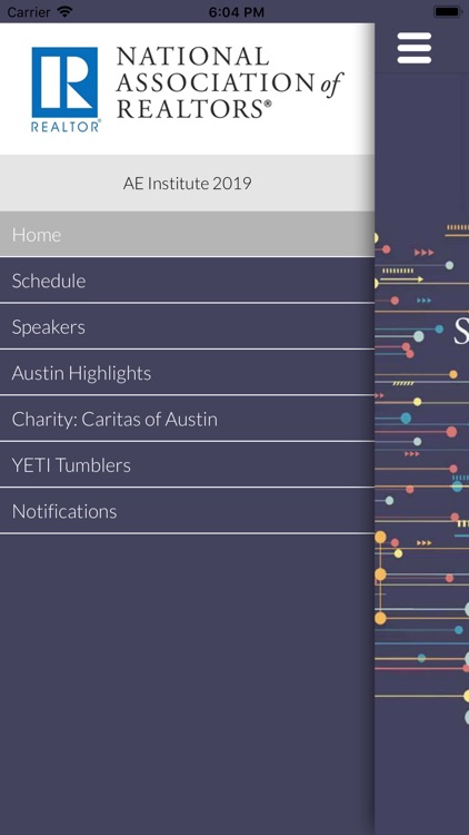 2019 AE Institute