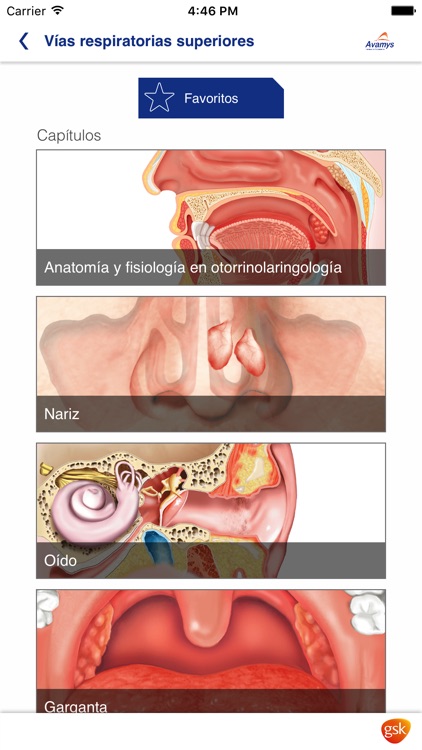 Miniatlas de las vías respiratorias altas