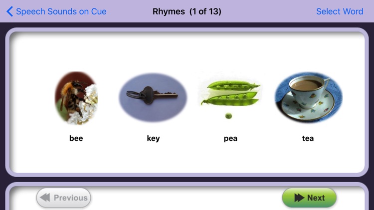 Speech Sounds on Cue (US Eng) screenshot-3