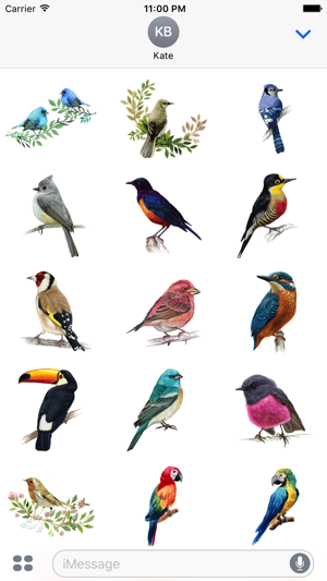Watercolor Beautiful Birds Sticker Pack