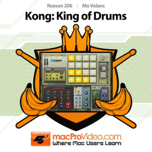 KONG King of Drums for Reason6