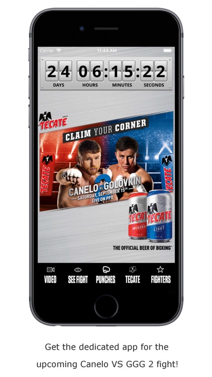 Tecate Bold Punch