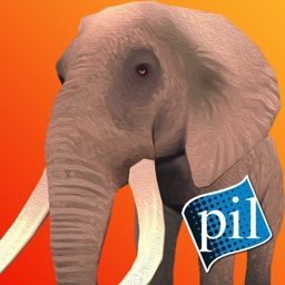 PI VR Animals