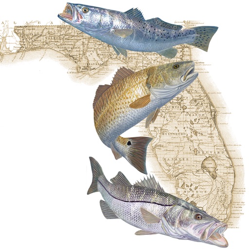 Florida Fishing Regulations icon