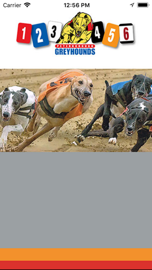 Peterborough Greyhounds(圖1)-速報App