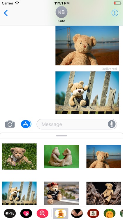 Teddy Bear Sticker Pack screenshot-4