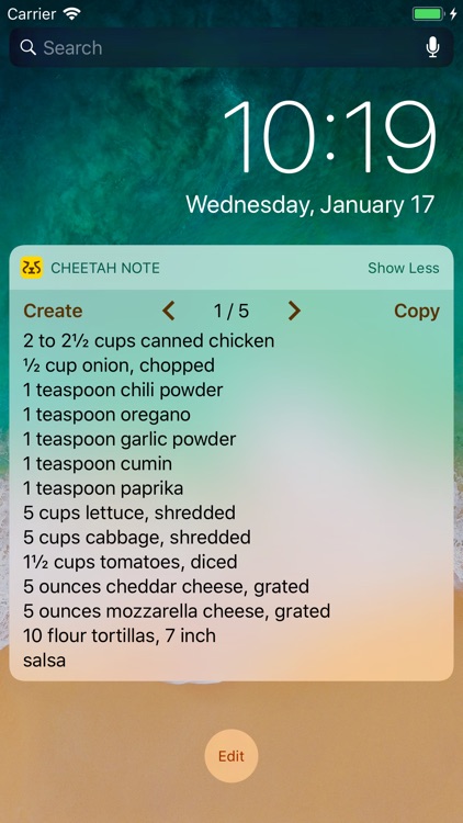 Cheetah Note Pro screenshot-0