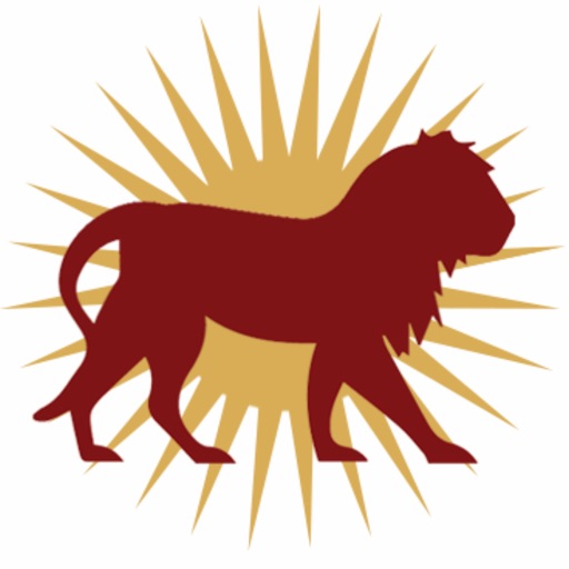 RIG Financial Solutions