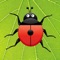 Count the ladybug spots using multi-touch