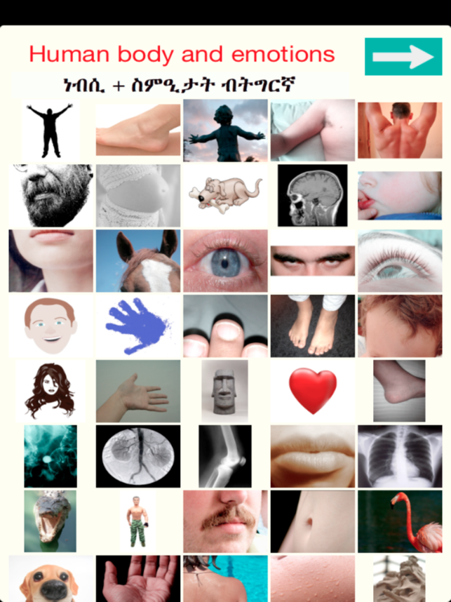 Tigrigna Names Bodyparts Audio(圖1)-速報App