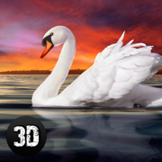 天鹅鸟模拟器3D