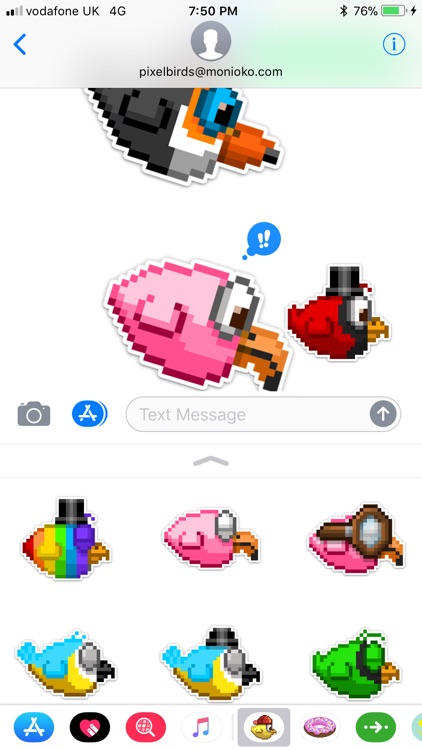 The Pixel Birds