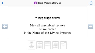 Rabbi's Manual screenshot 2