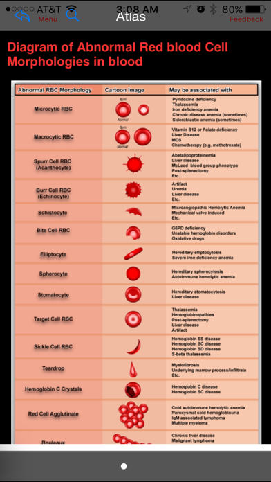 How to cancel & delete Hematology Outlines Atlas from iphone & ipad 2