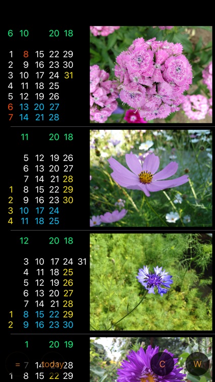 Only For Women - Calendar W