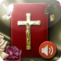 Rosary Deluxe Audio - 玉富 丁 Cover Art