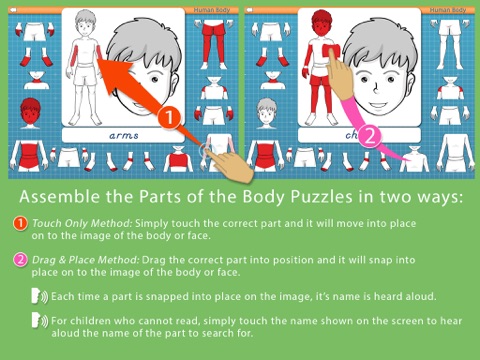 Human Body -Montessori Anatomy screenshot 4