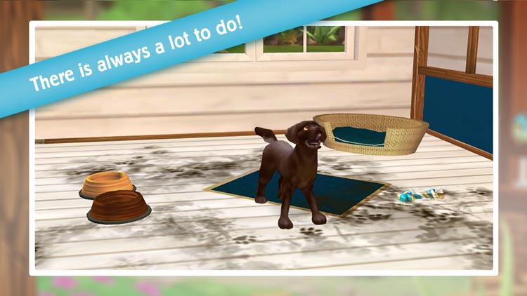 Pet Hotel - My animal pension screenshot-4