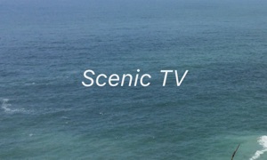 Scenic TV