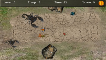 Baby Frogs - Frog Wrangling screenshot 3