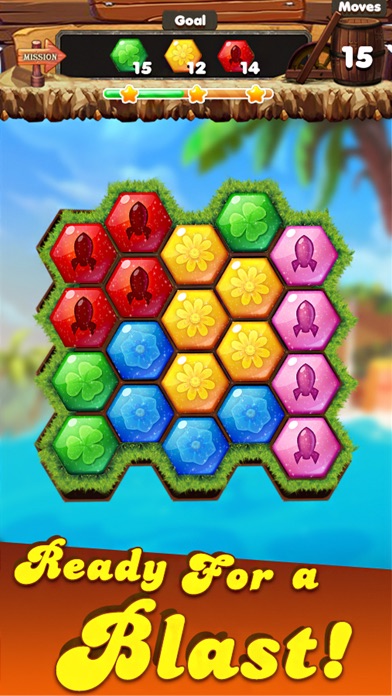 Star Block Hexagon screenshot 3