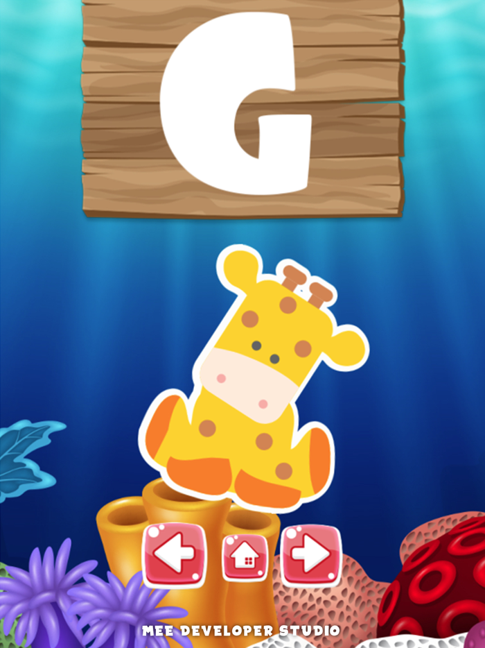 ABC-Z Alphabet Letter English