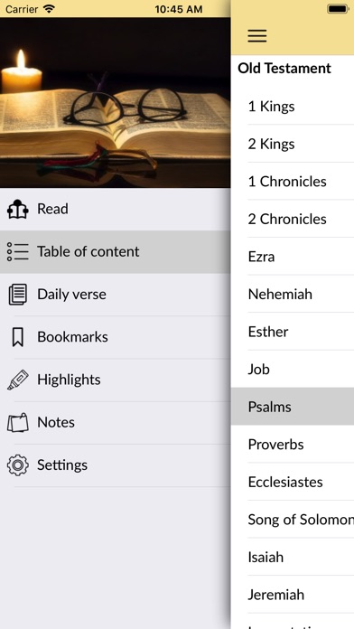 Holy Bible - King James Audio screenshot 2