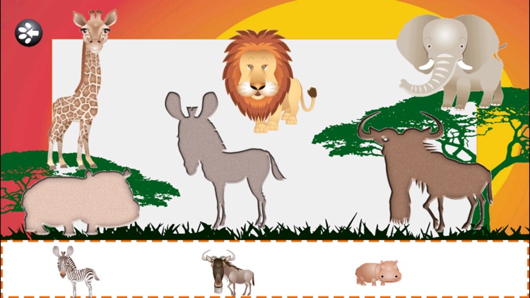 Kids games - Animals cards Fun