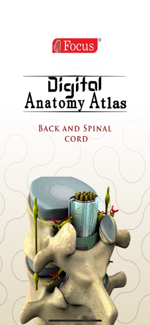 Back and Spinal cord