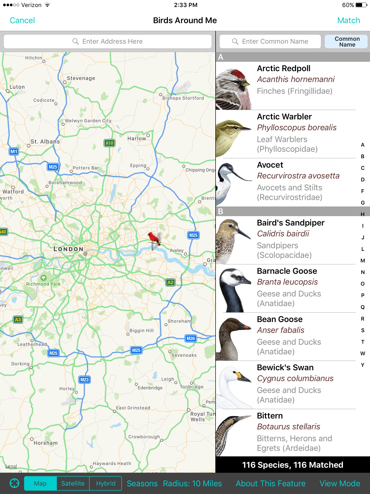iBird UK Pro Guide to Birds screenshot 3