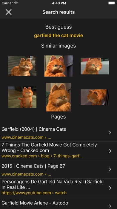 Revim - Reverse Image Search screenshot 2