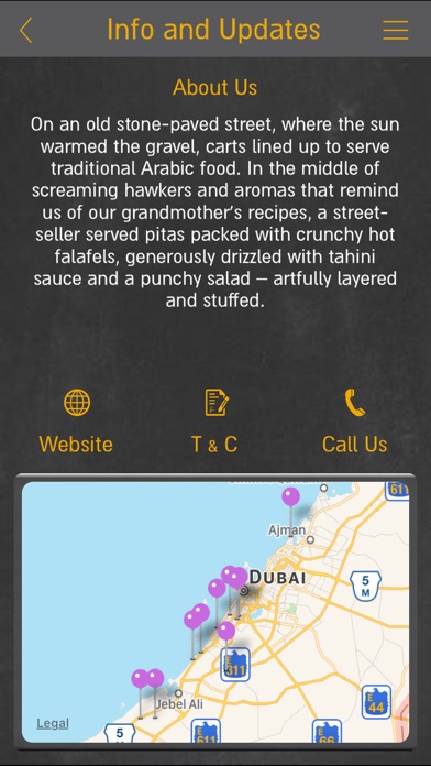 Operation Falafel screenshot 3