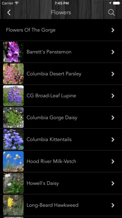 Gorge Trip screenshot-3